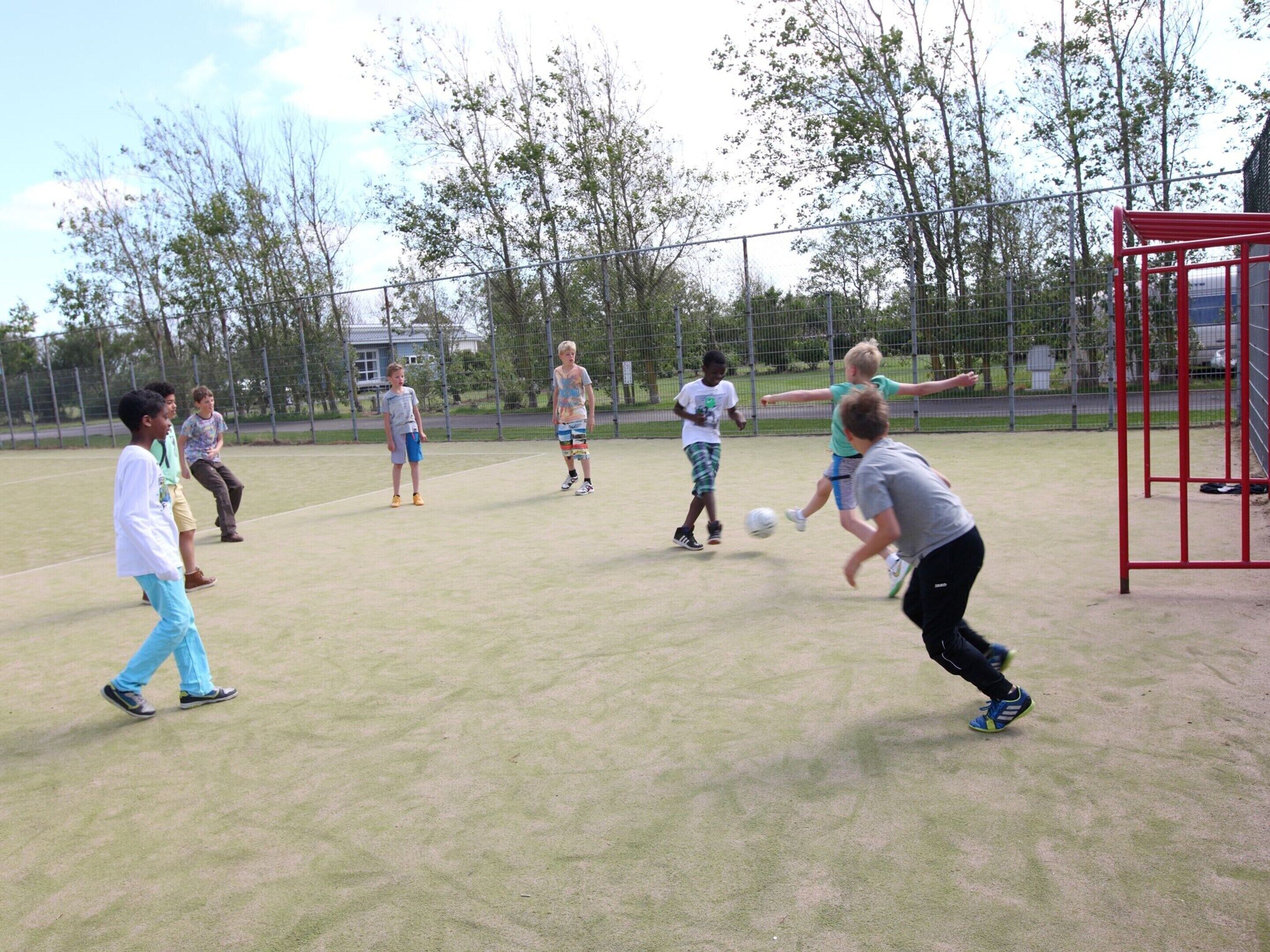 A group of children playing soccer on a grassy field with a red goal post.