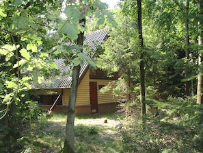 Exterior - Detached Wooden Bungalow With Microwave Surrounded by Nature (Herpen)