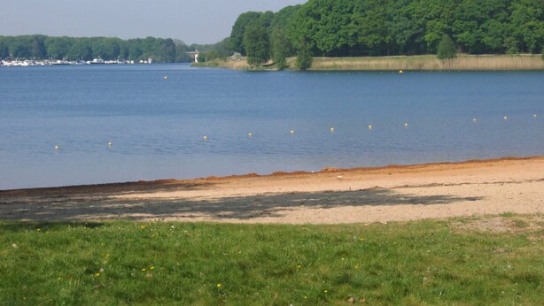 A lakeside view with a sandy beach, calm water, and a forested area in the background. - Carefully Furnished House with Bath near Mookerplas (Plasmolen)