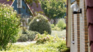 A garden with a variety of plants and a blue house with a red roof. - Carefully Furnished House with Bath near Mookerplas (Plasmolen)