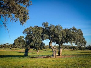 บ้านพัก | วิวจากที่พัก