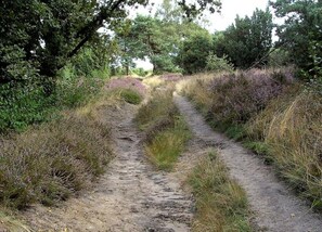 Villa | View from property - Luxury Stay in Hellendoorn (Hellendoorn)