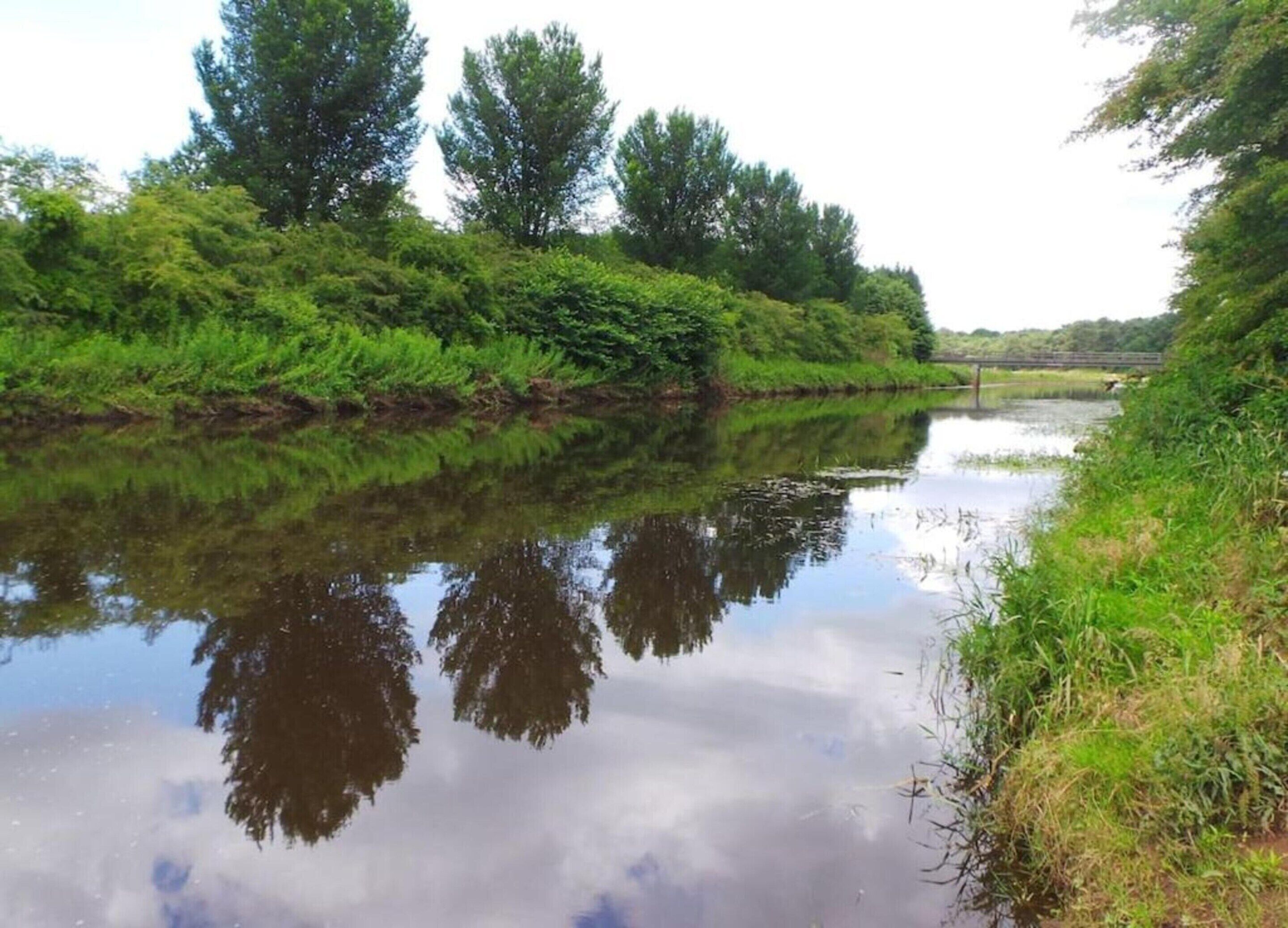 Un río tranquilo con abundante vegetación y árboles reflejados en el agua.