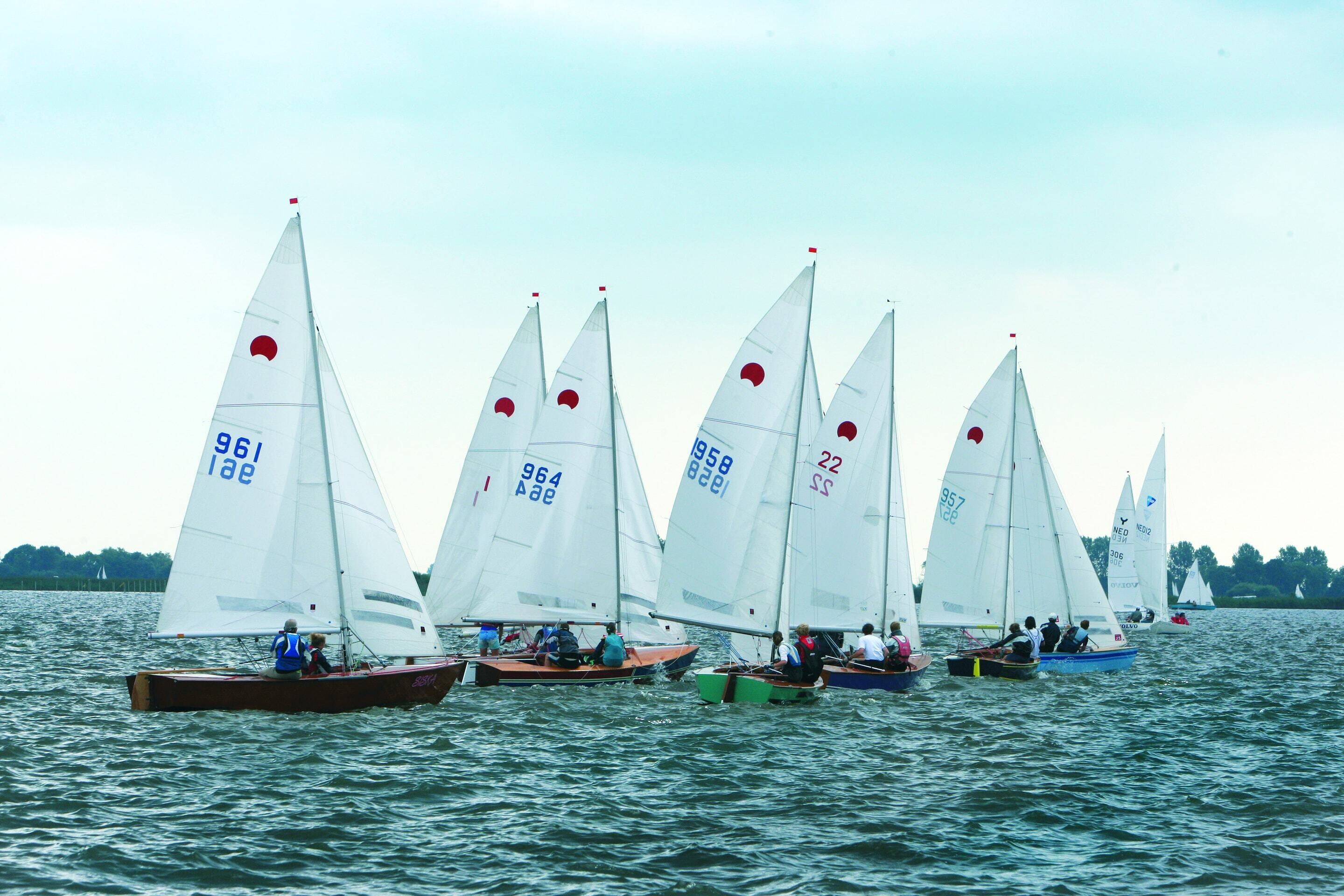 Eine Gruppe Segelboote auf dem Wasser.
