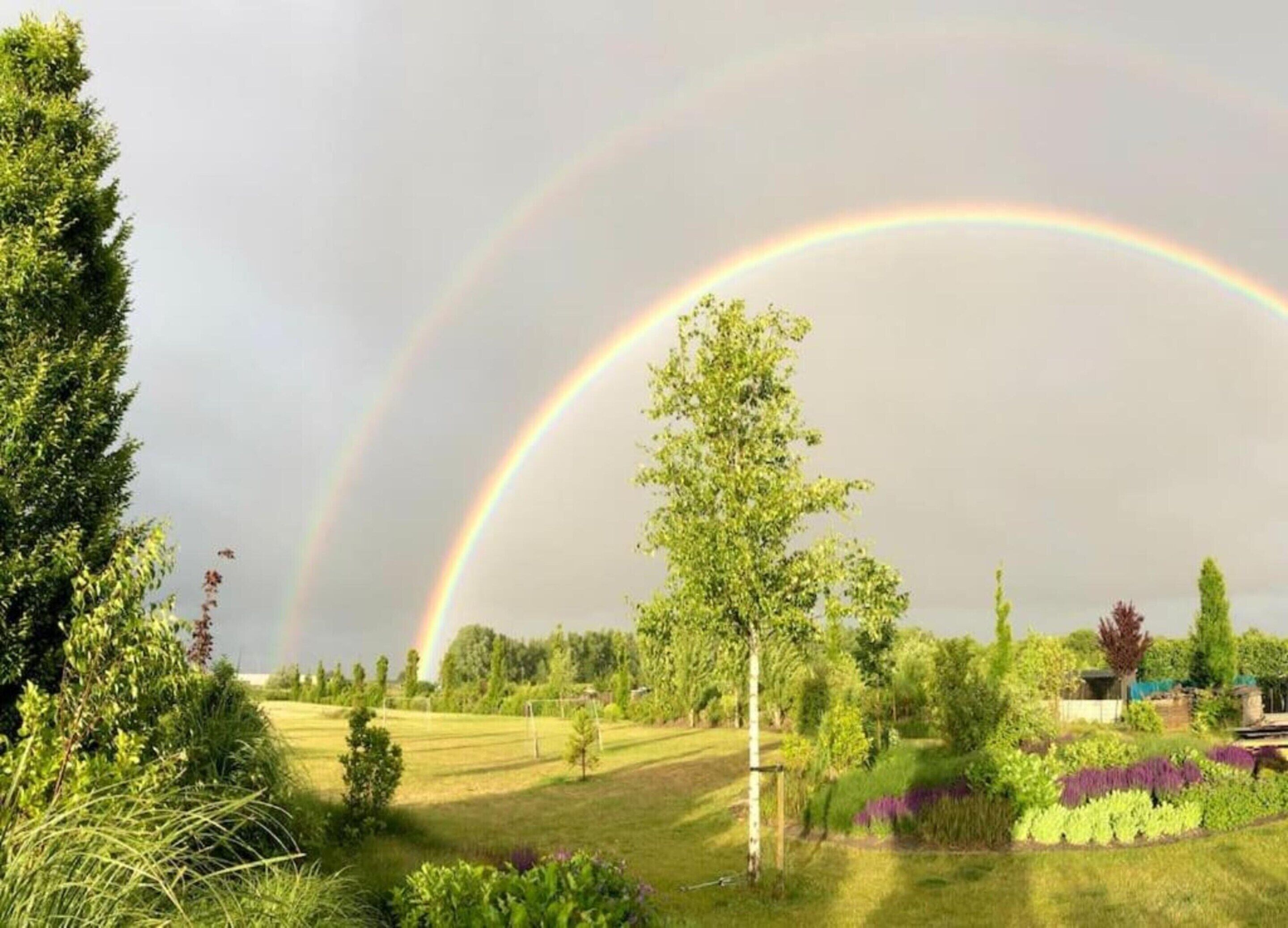 A garden with a rainbow, trees, and a grassy field.