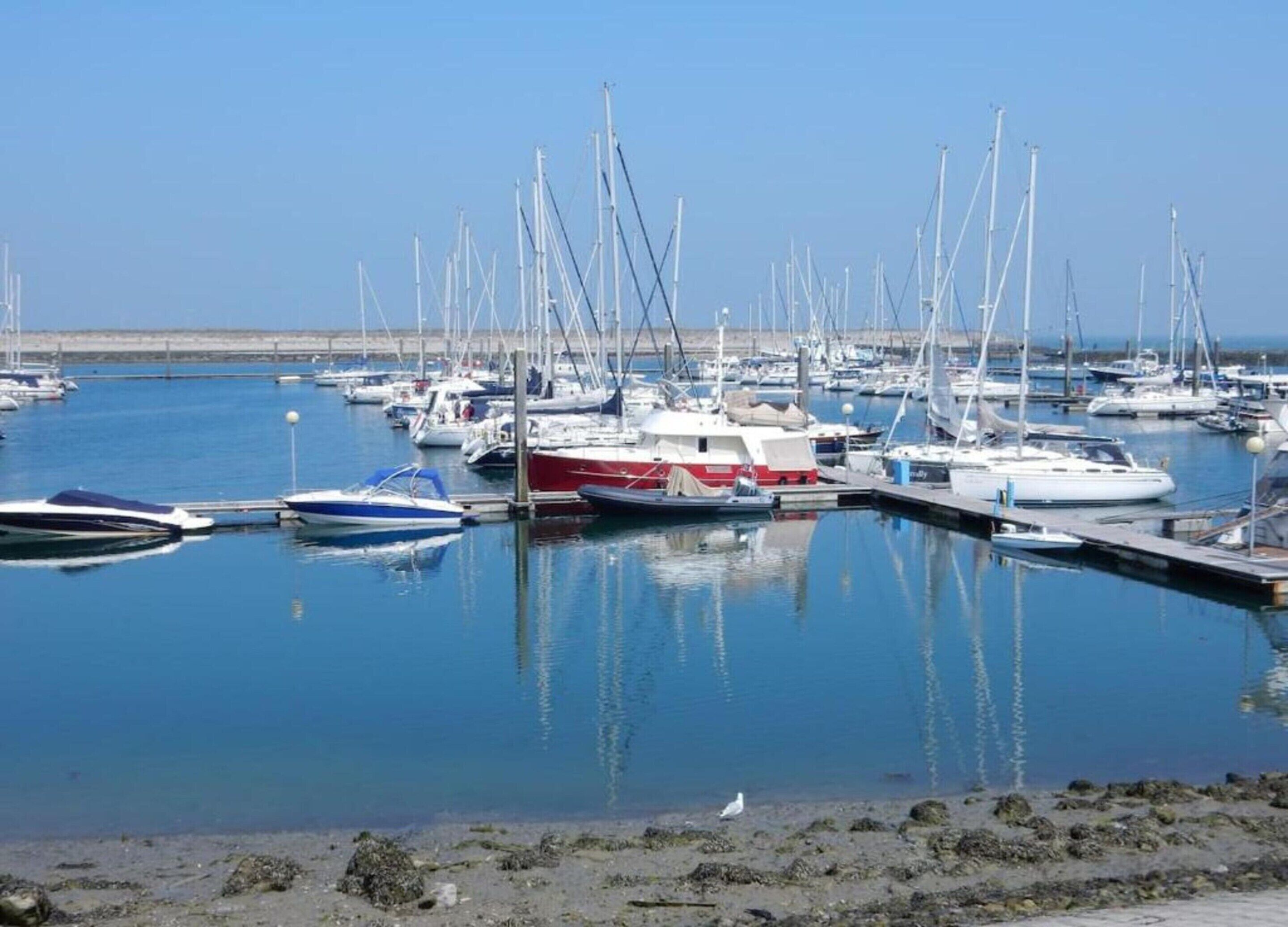 Un port de plaisance où de nombreux bateaux sont amarrés aux quais.