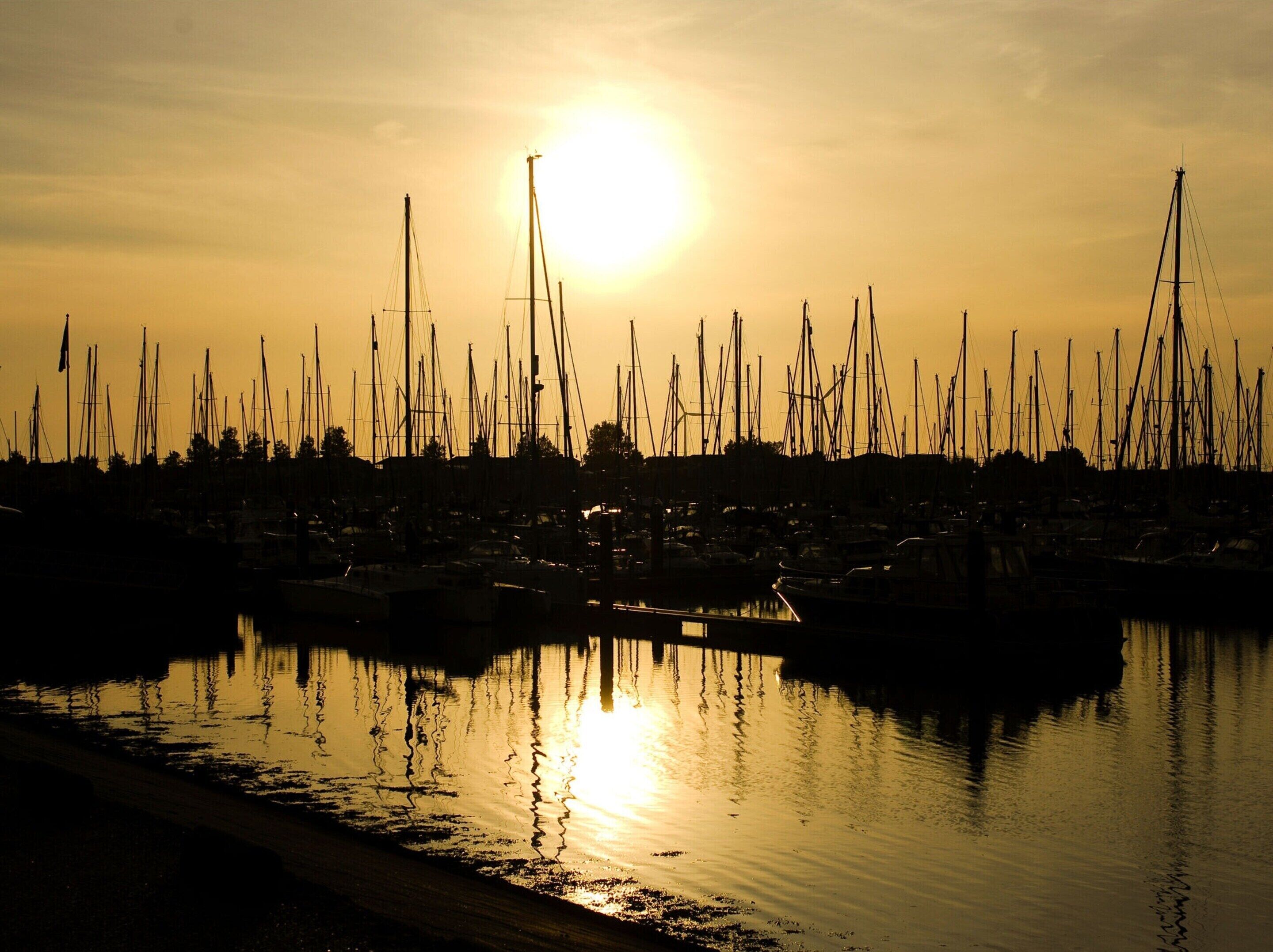 A marina at sunset with numerous sailboats docked.