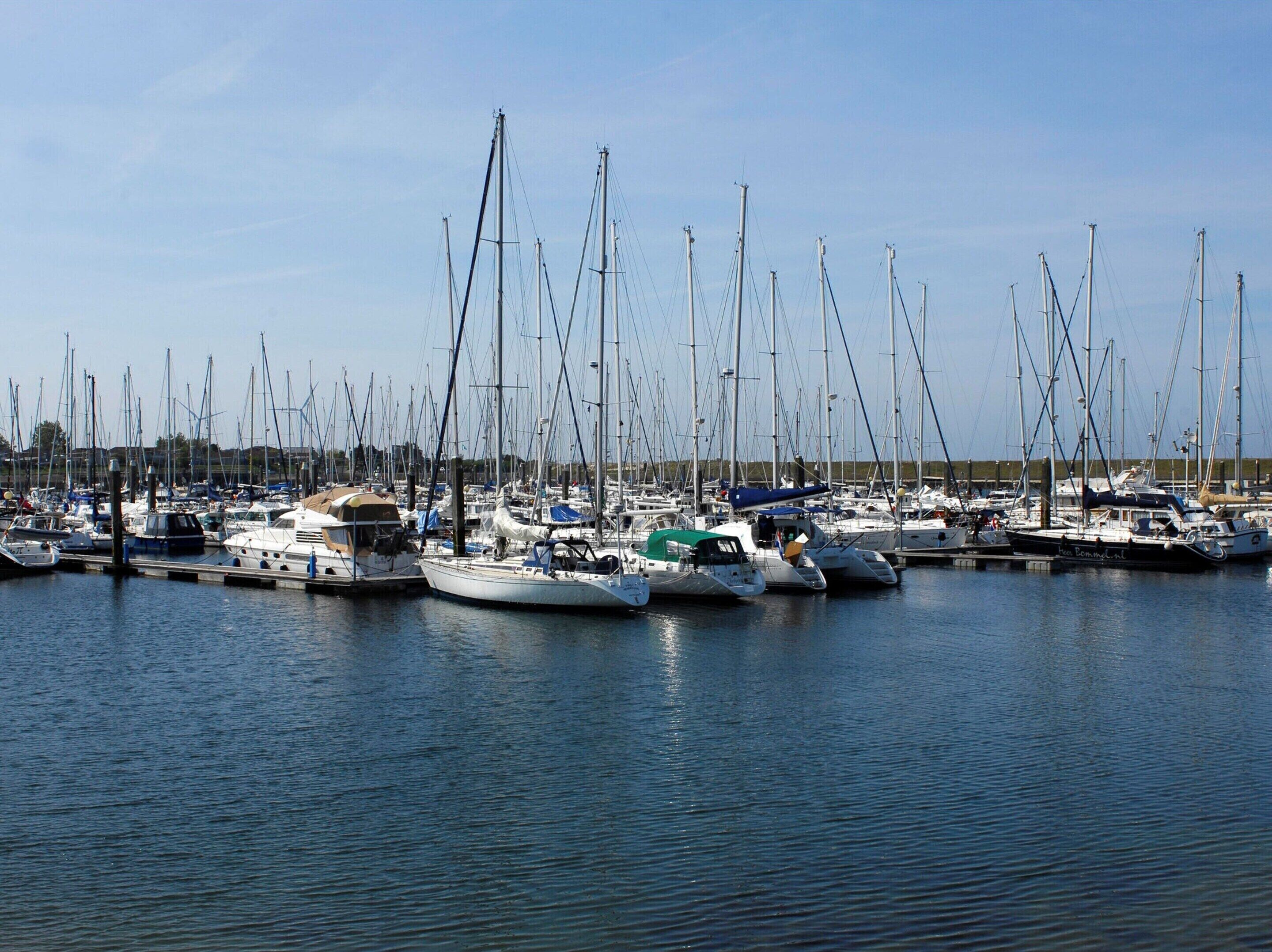A marina with numerous sailboats docked.
