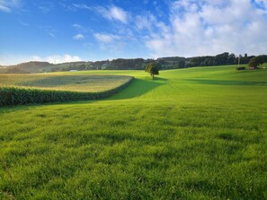 House | View from property