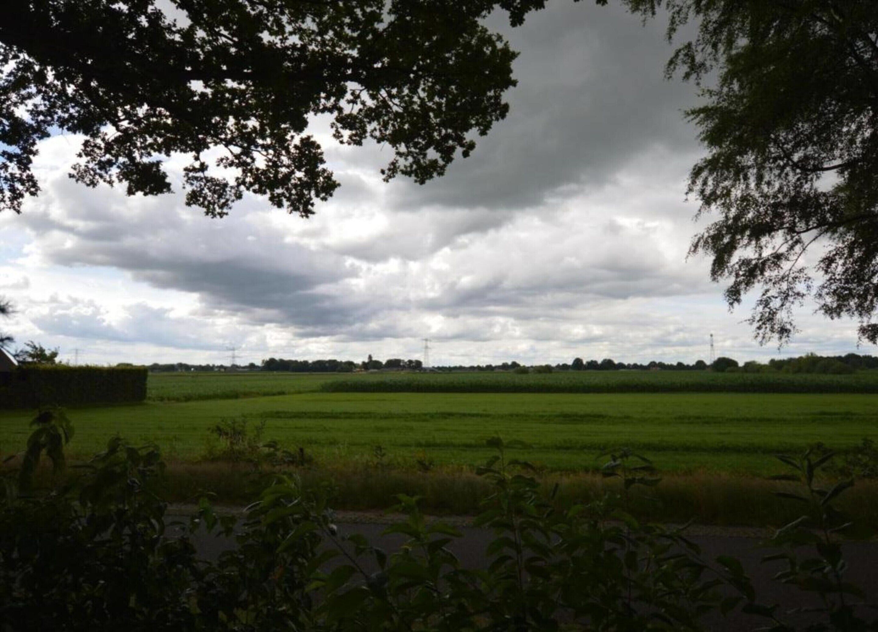 A rural landscape with a green field, a hedge, and a cloudy sky.