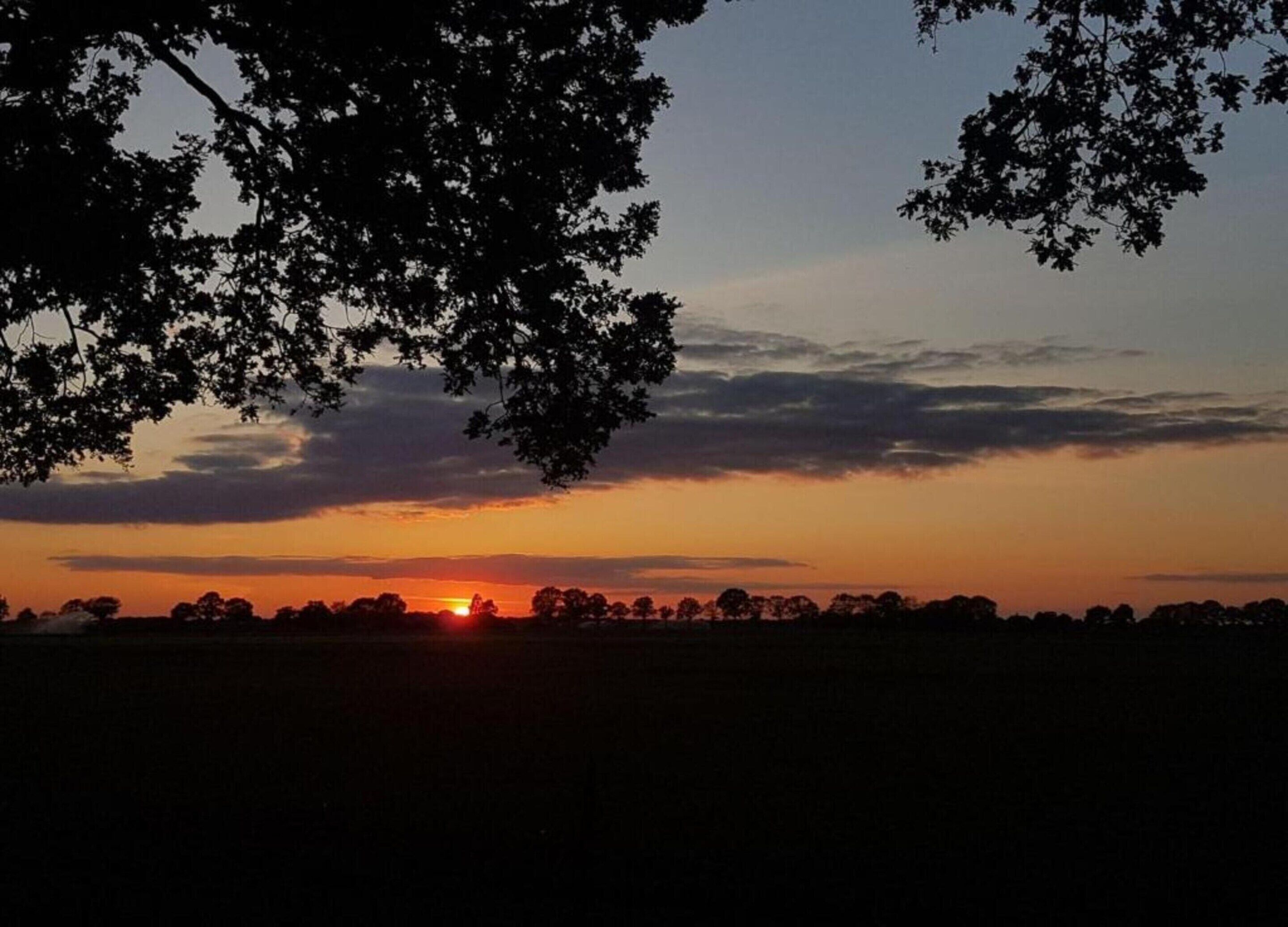 A sunset over a flat landscape with trees silhouetted against the sky.