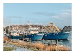 Huis | Uitzicht vanuit accommodatie