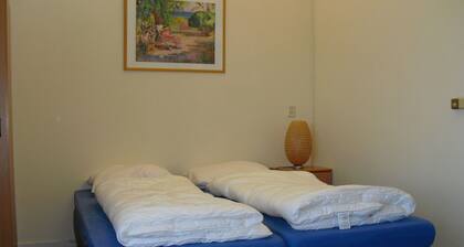 Detached Holiday Home With Wifi, 20 km. van Assen