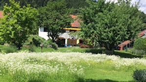 Una casa rural envoltada de verdor exuberant i un camp de flors blanques.
