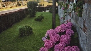 Un jardín con seto y pared de piedra.