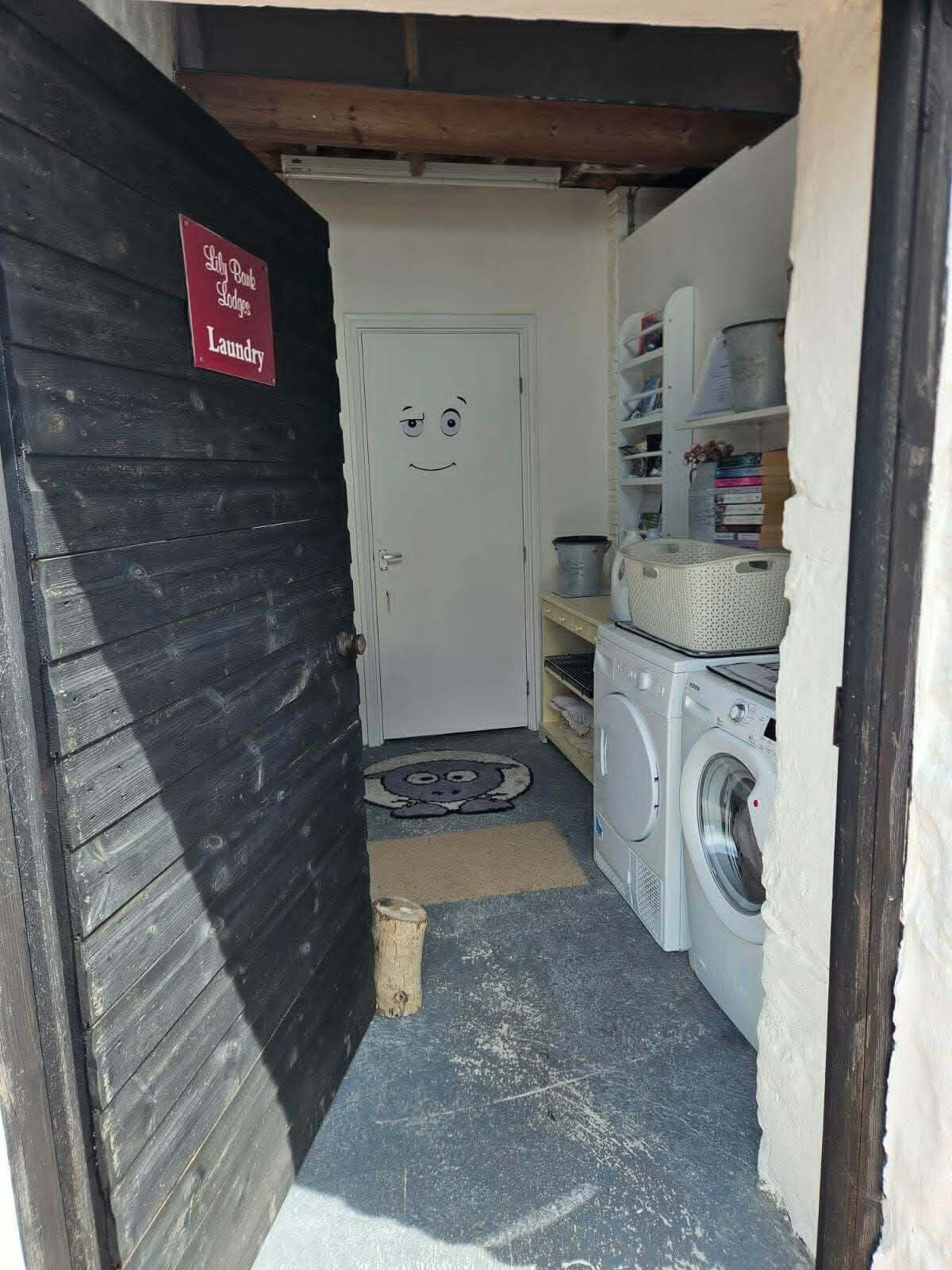 A laundry room with a white door, a washing machine, and shelves with laundry supplies.