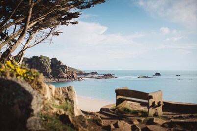 Beautiful 1BR in Historic House