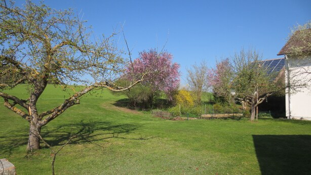 A grassy field with trees, a white building, and a clear blue sky. - Bright apartment (ground floor) with garden and terrace. Experience Hegau, Lake Constance, Rhine Falls! (Tengen)