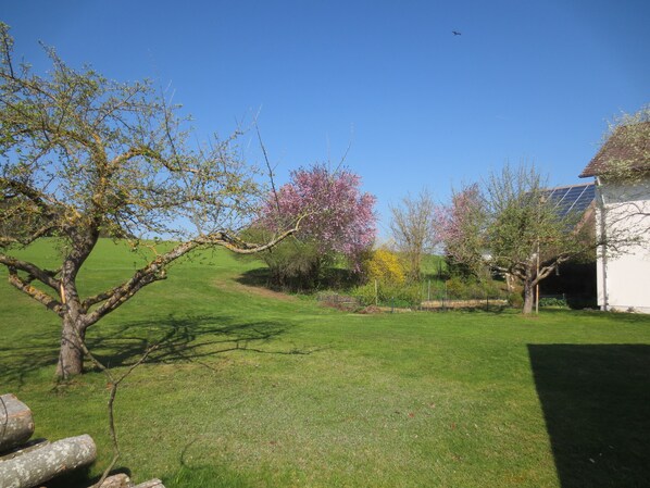 Overnattingsstedets uteområder