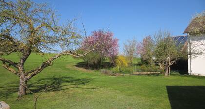 Appartement lumineux (rez-de-chaussée) avec jardin et terrasse. Découvrez Hegau, le lac de Constance, les chutes du Rhin!