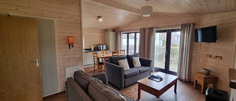 Televisión, chimenea, reproductor de DVD y libros