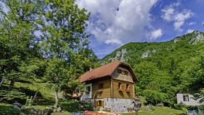 A rustic wooden house with a stone foundation, surrounded by lush greenery and a mountain backdrop. - Sobol in Kočičin (Haus für 6-9 Personen) (Kuzelj)