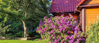 3 bedroom lovely home in Nowe Warpno