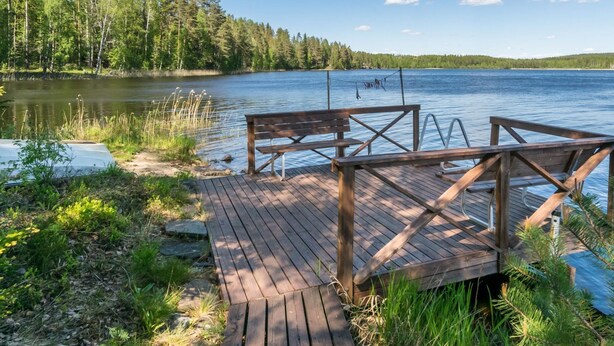 A wooden dock extending into a lake with a bench and fishing rod, surrounded by trees and greenery.