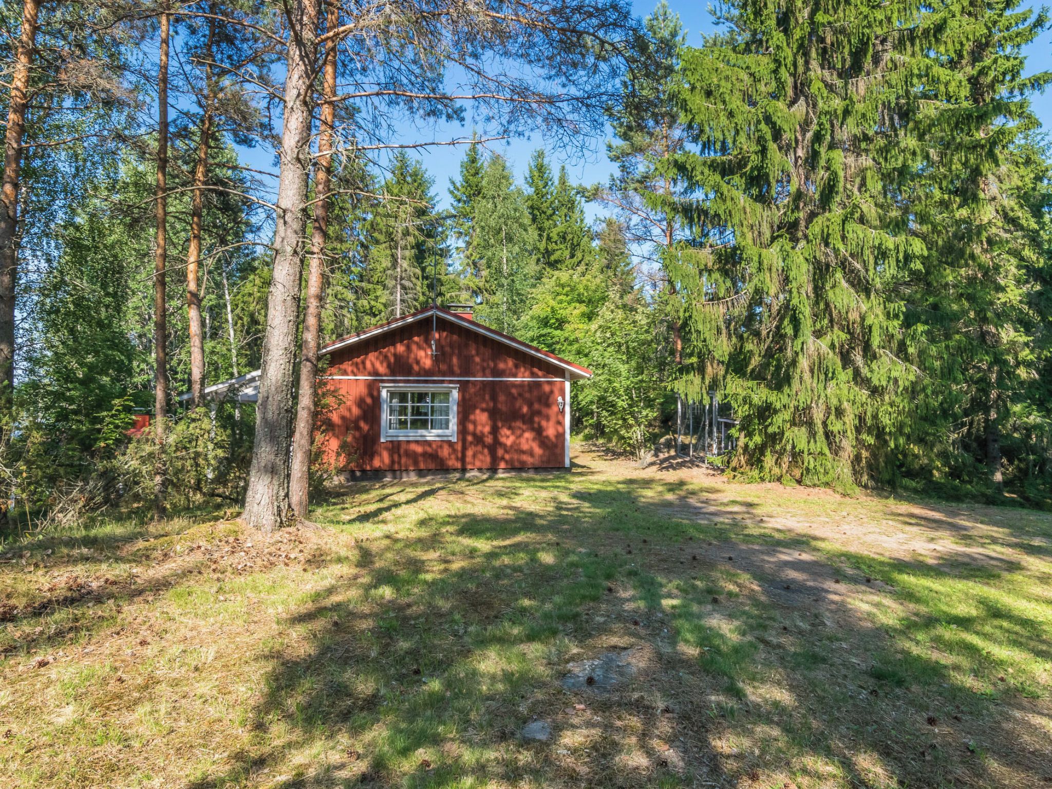 Une petite cabane avec une seule fenêtre, entourée d’une forêt dense et de grands arbres.