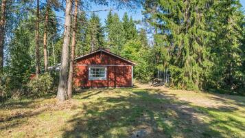 Une petite cabane avec une seule fenêtre, entourée d’une forêt dense et de grands arbres.