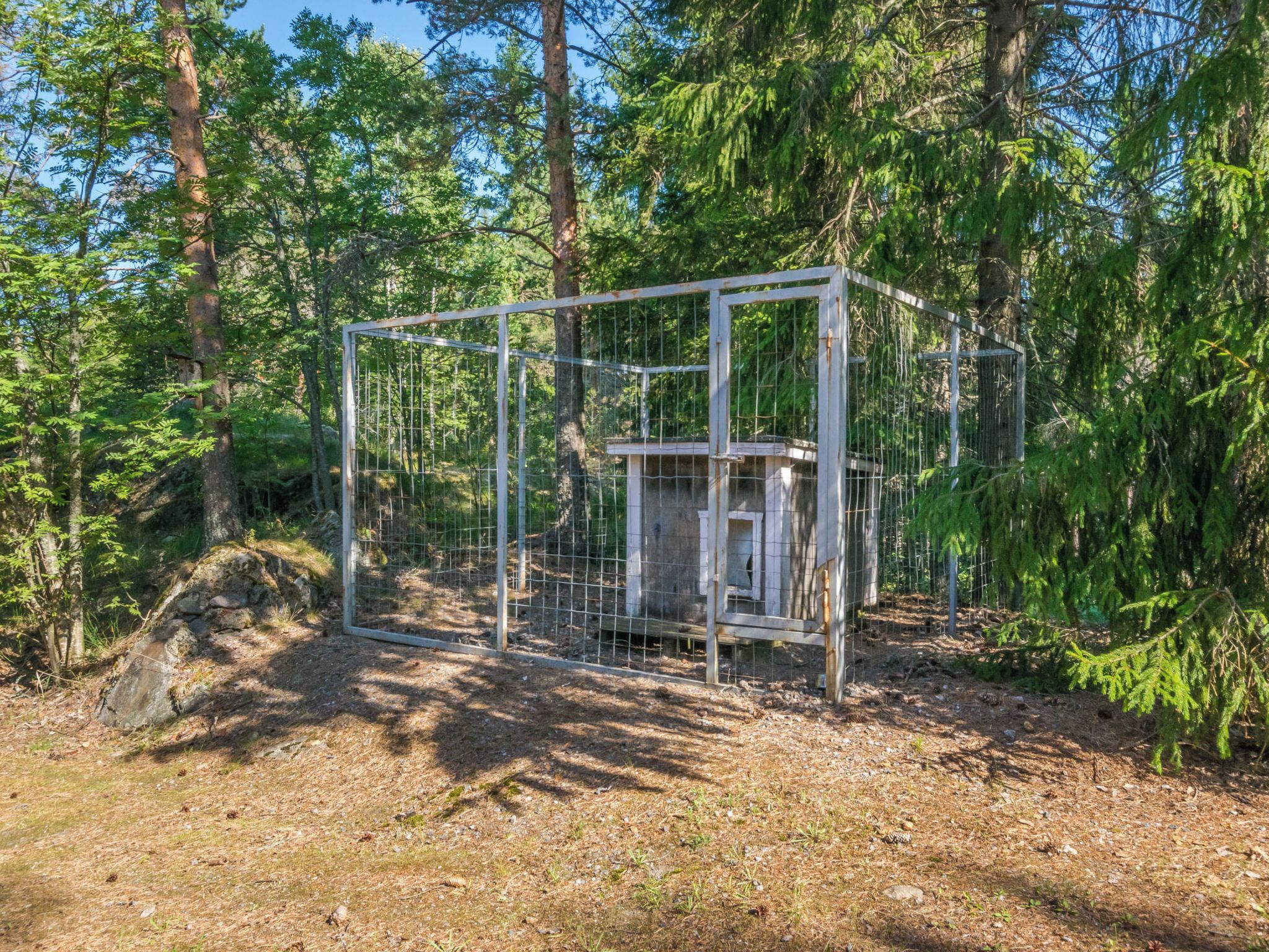 A metal enclosure with a wooden structure inside, surrounded by dense forest.