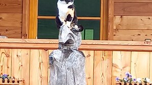 A wooden cabin with a cat statue on the front porch. - One-room apartment Weitblick with shower/WC and balcony (Reit im Winkl)