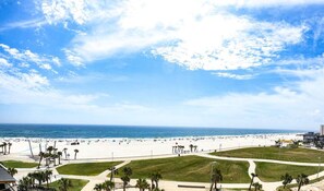 Ein Strand mit blauem Himmel, Palmen und einem Weg zum Strand.