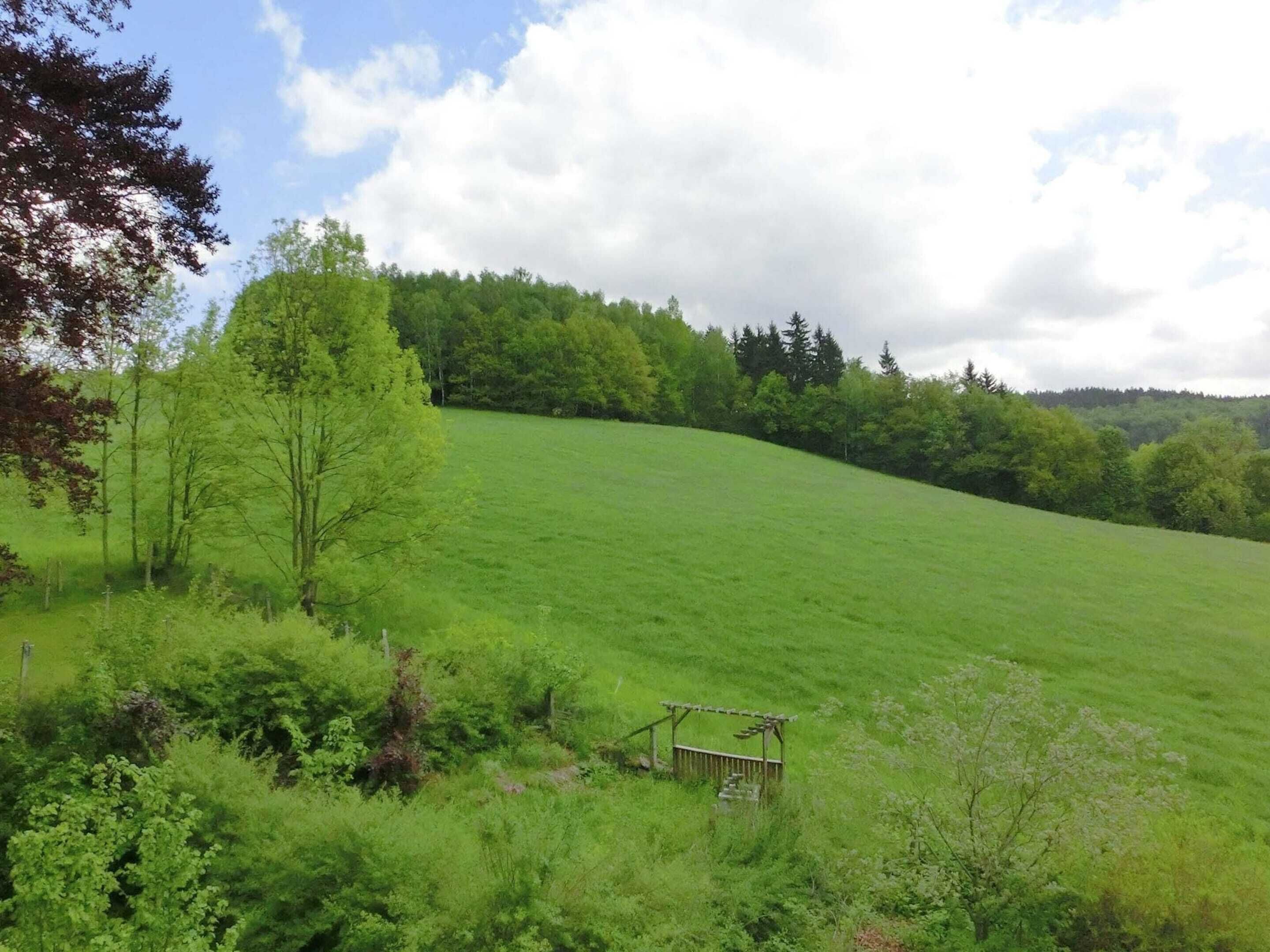 A grassy field with a wooden structure in the foreground.