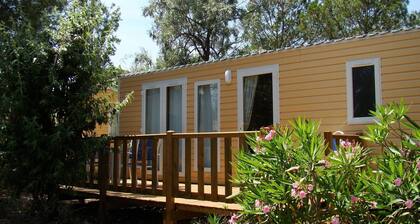 Mobile Home With Covered Terrace in the Quaint Camargue