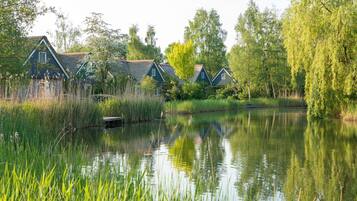 House | Property grounds