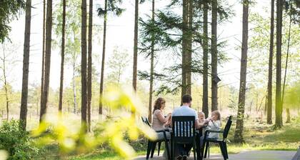 Nicely Furnished Bungalow With Dishwasher, in De Veluwe