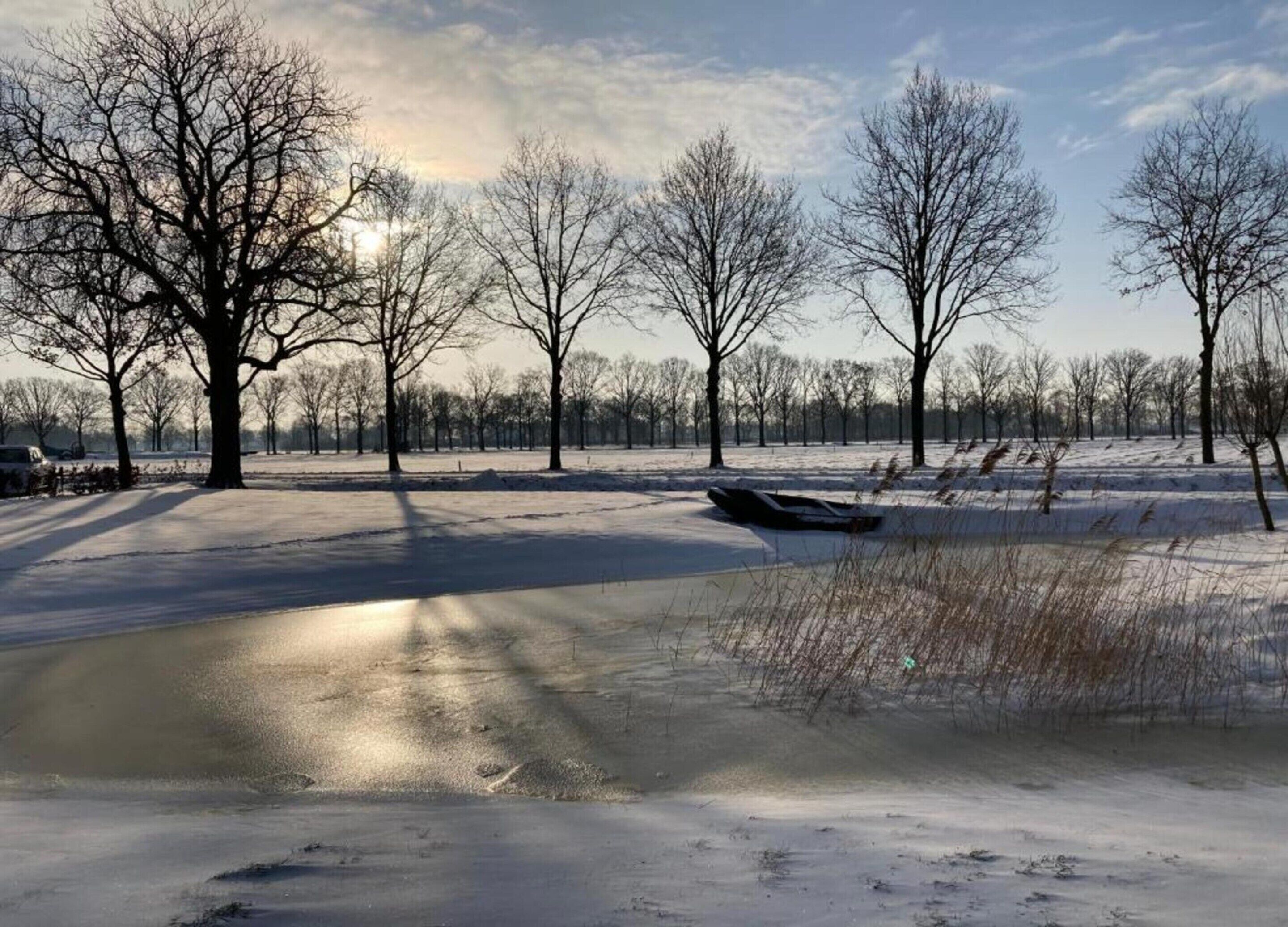 Schneebedeckte Landschaft mit kahlen Bäumen und einem zugefrorenen Teich.