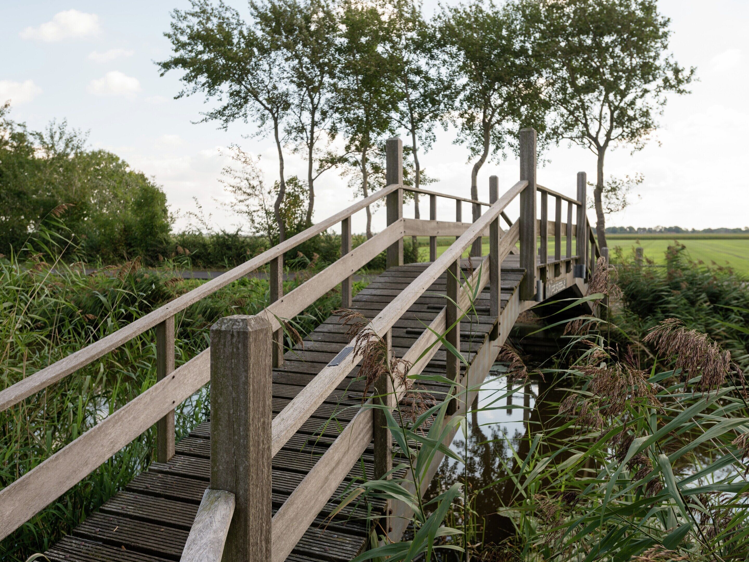 Apartment | View from property
