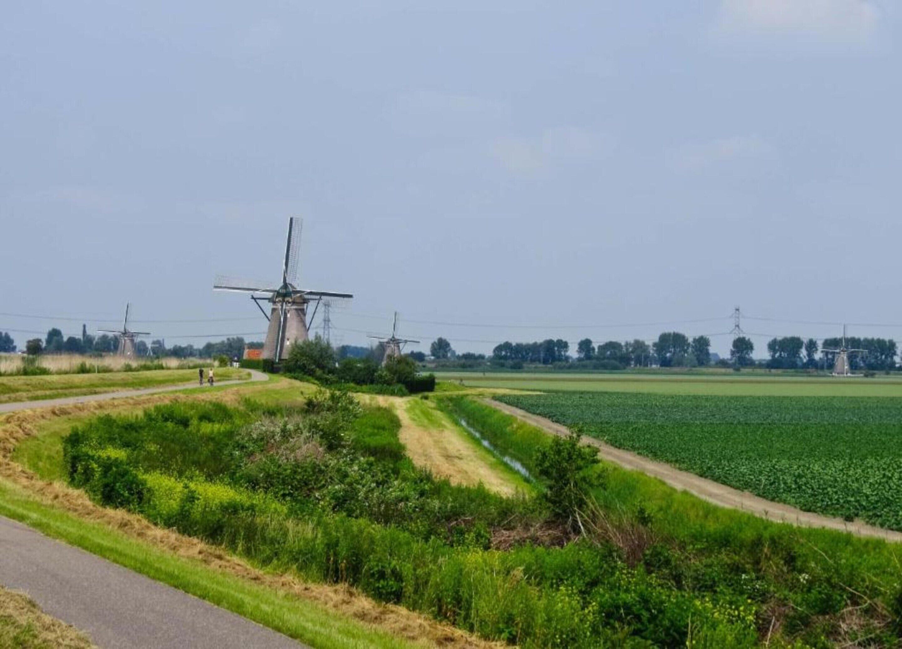 A rural landscape with windmills, a dirt path, and a green field.