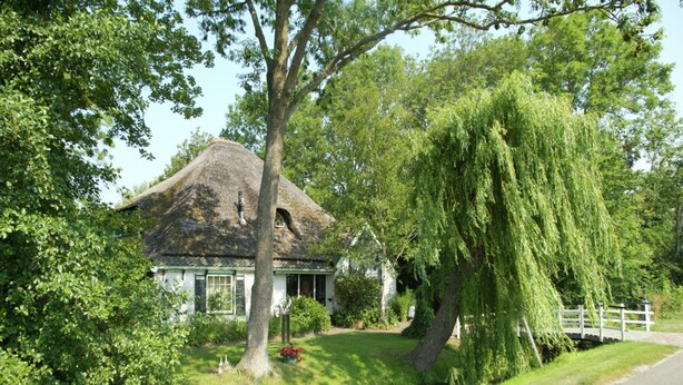 Una casa con tetto di paglia, circondata da vegetazione rigogliosa e un piccolo ruscello.