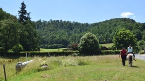 Een landelijk landschap met een weg, grasvelden en een heuvel met bomen.