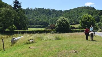 Apartemen | Pemandangan dari properti