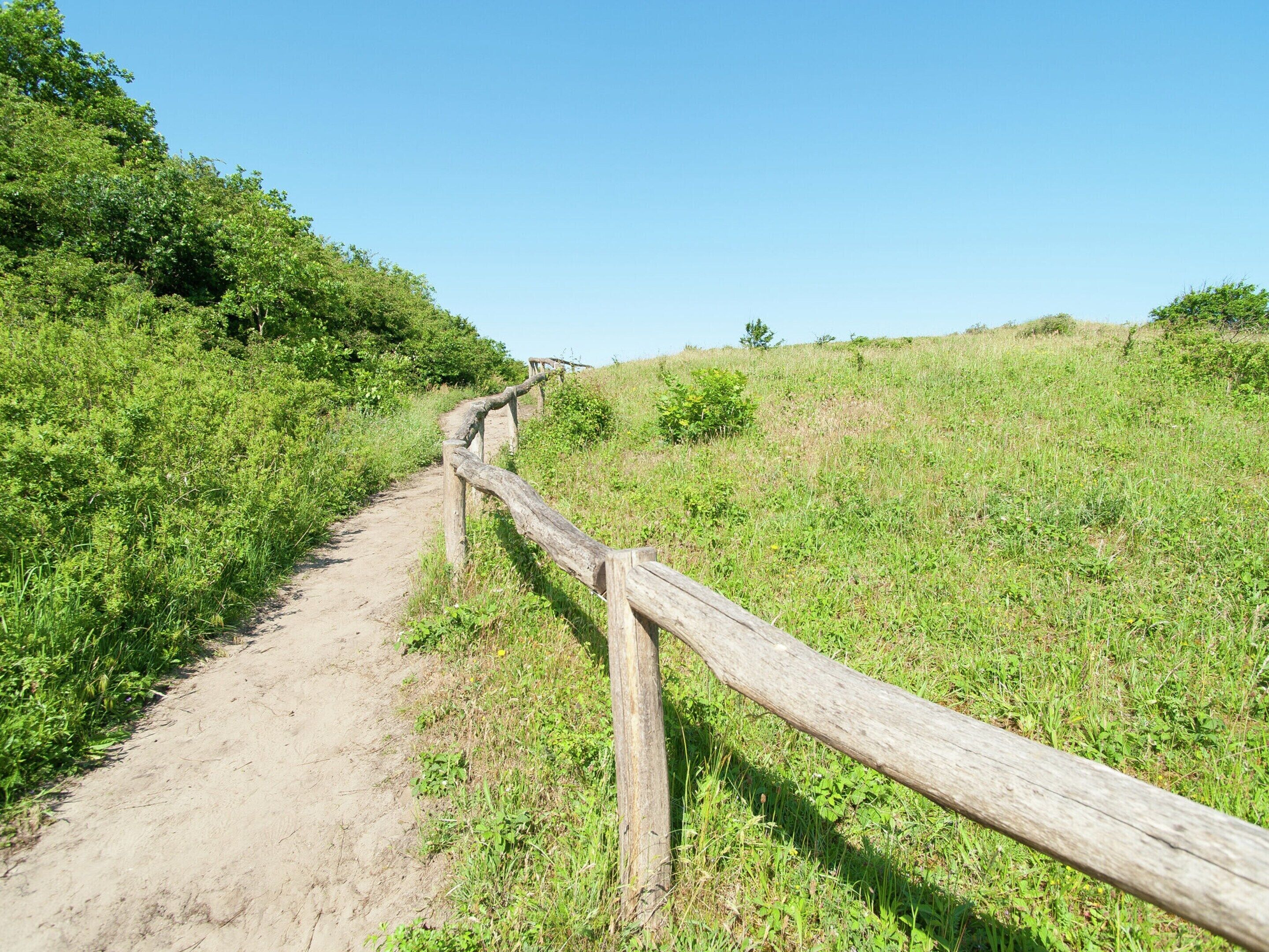 Un sentier de terre bordé de poteaux en bois, entouré d’une végétation verdoyante et sous un ciel bleu clair.