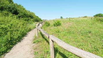 Un sentier de terre bordé de poteaux en bois, entouré d’une végétation verdoyante et sous un ciel bleu clair.