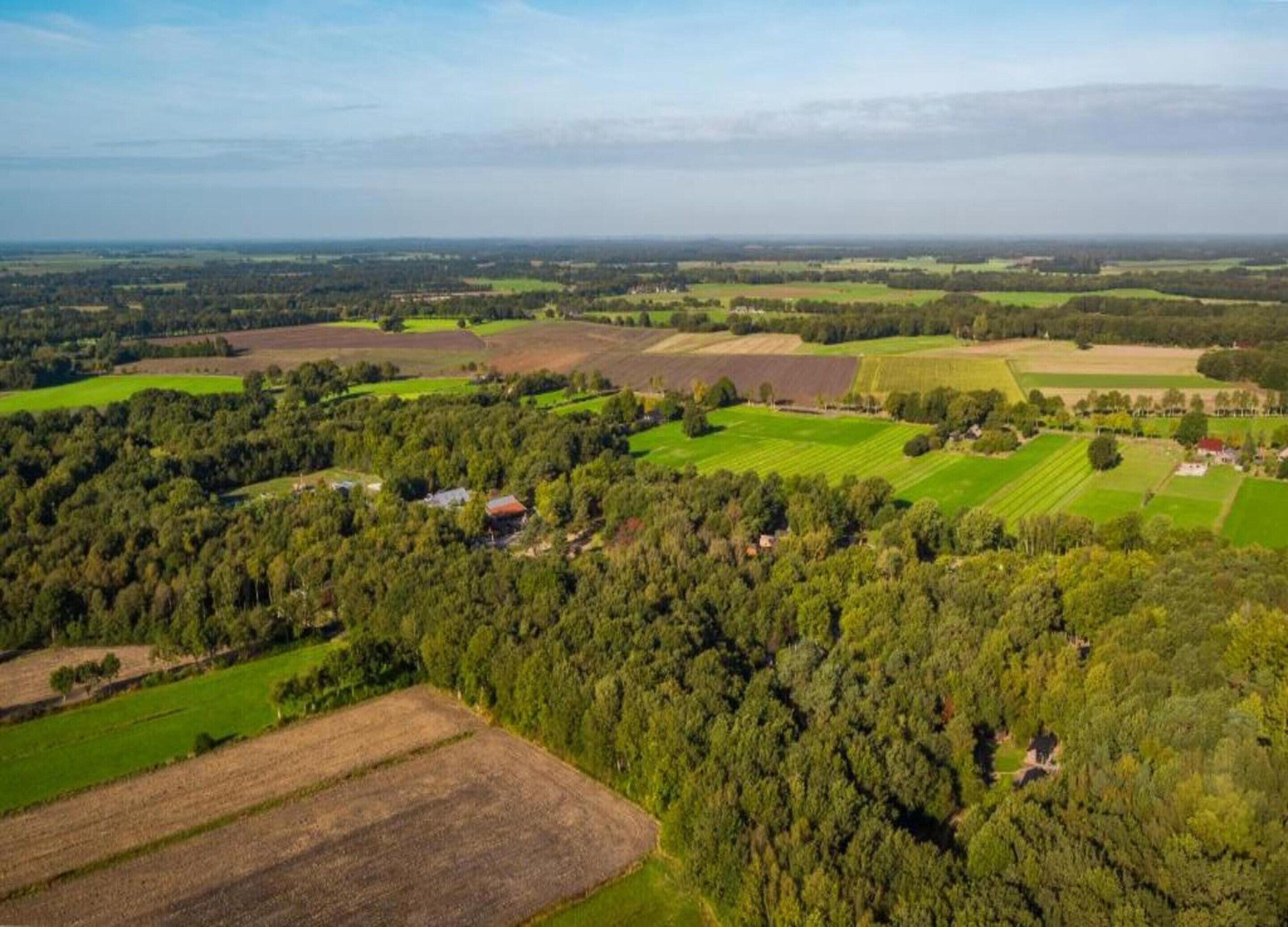 Une vue aérienne d’un paysage rural, avec des champs, des arbres et quelques bâtiments dispersés.