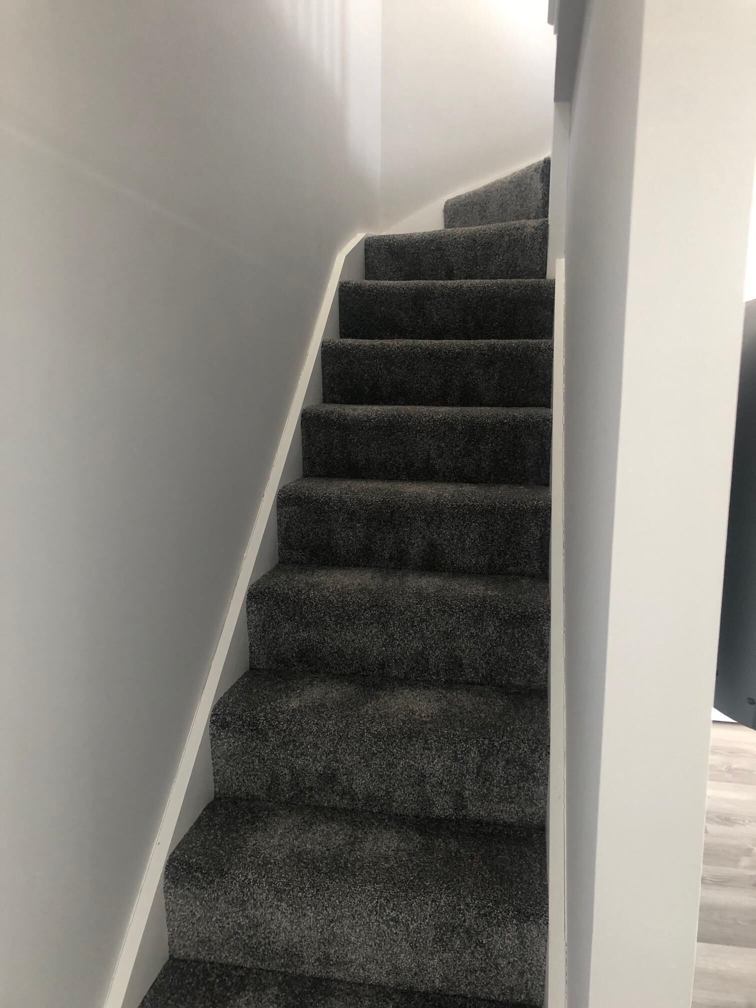 A staircase with carpeted steps leading to a landing.