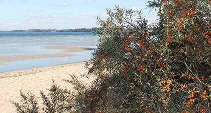 Gruppenurlaub im Ferienhaus in Zierow fur 12 Gaste