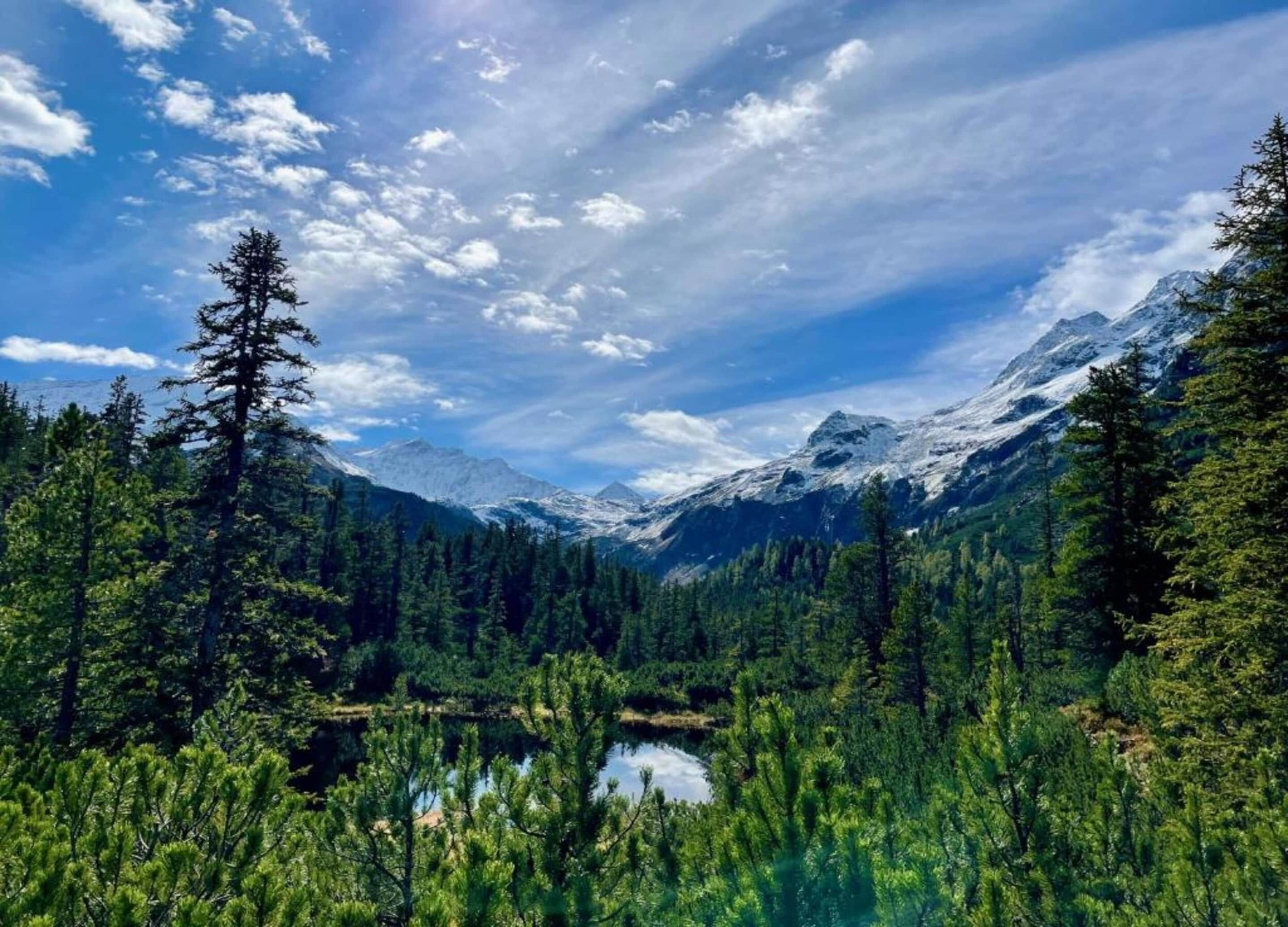 Un paysage montagneux avec un lac entouré d’une forêt dense.