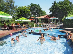 Outdoor pool - Neatly Furnished Bungalow With Fireplace in a Holiday Park With a Green Location (Holten)